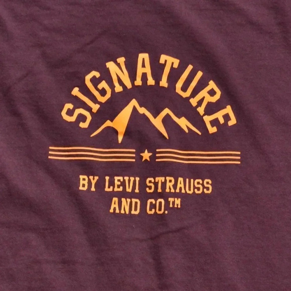 LEVIS Mountain Graphic Tee - Picture 2 of 7